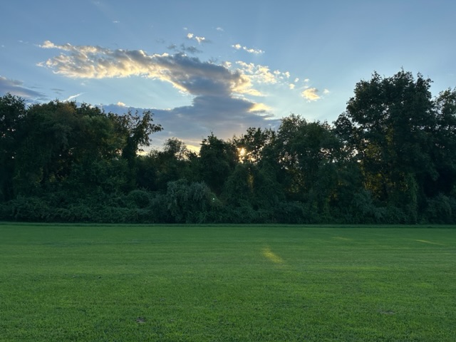 Field and forest, Middletown, CT