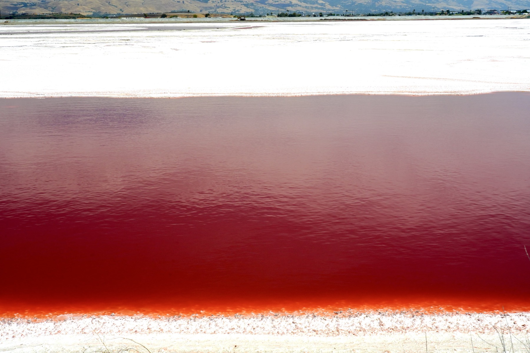 Deep red water crosses the view from left to right, surrounded by white ground. There is a thin strip of yellow and dark green hills in the far distance at the very top of the frame.